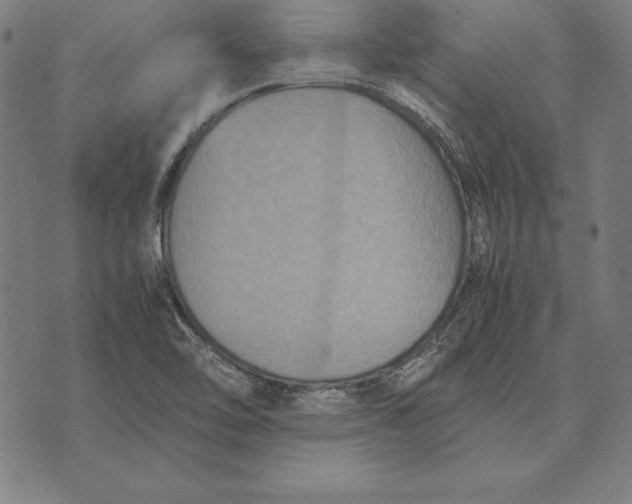 X0000071831462200607211749