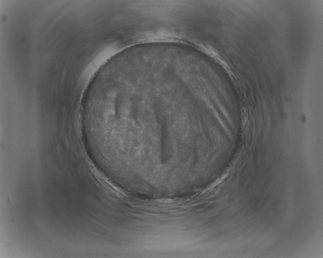 X0000071831463200607211749