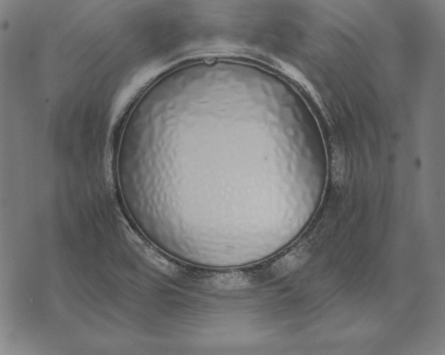 X0000071831464200607211749