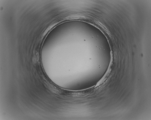 X0000071831465200607211749