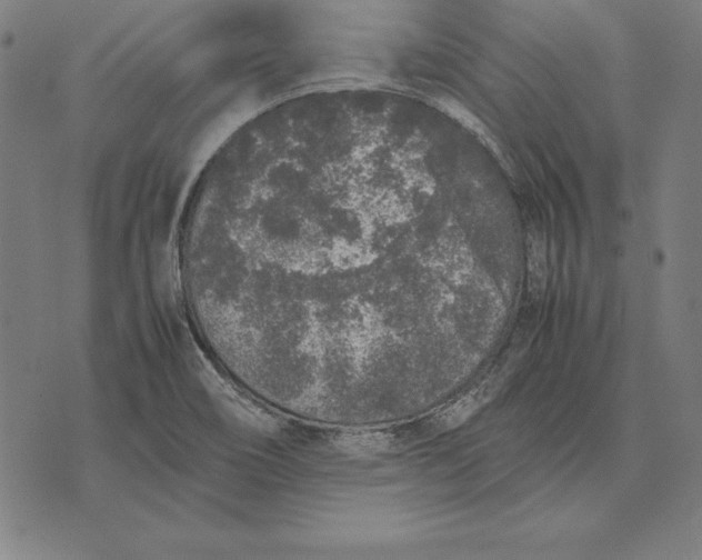 X0000071831466200607211749