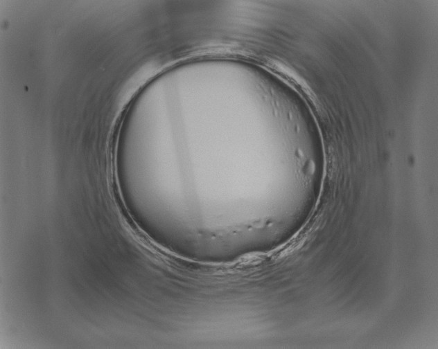 X0000071831467200607211749