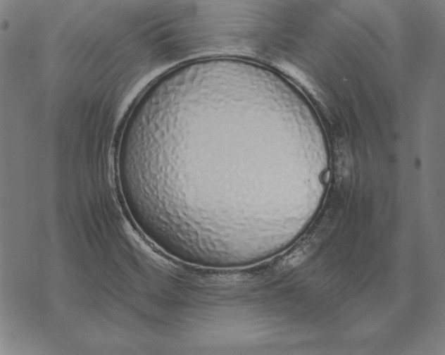 X0000071831468200607211749