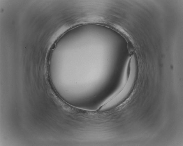 X0000071831469200607211749