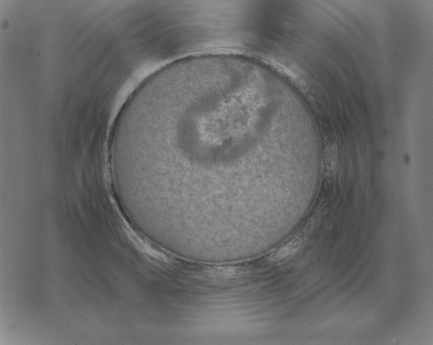 X0000071831470200607211749