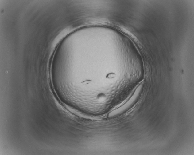 X0000071831471200607211749