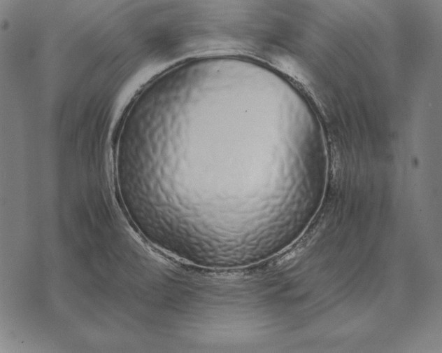 X0000071831472200607211749