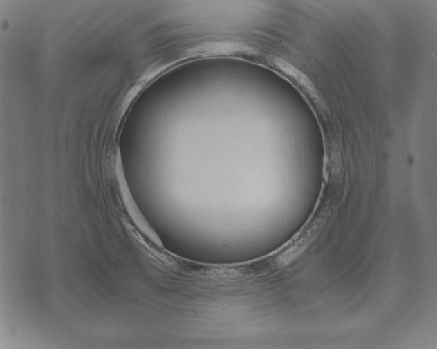 X0000071831473200607211749