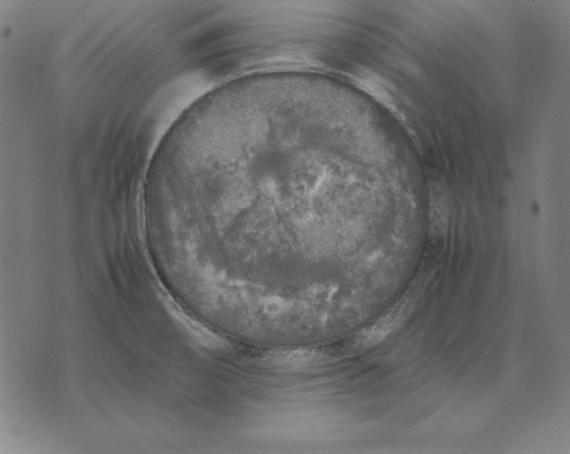 X0000071831474200607211749