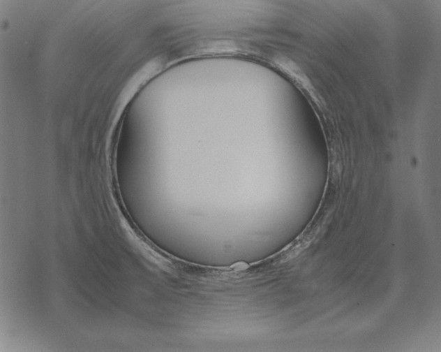 X0000071831475200607211749