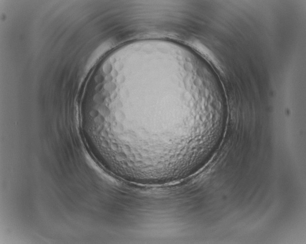 X0000071831476200607211749