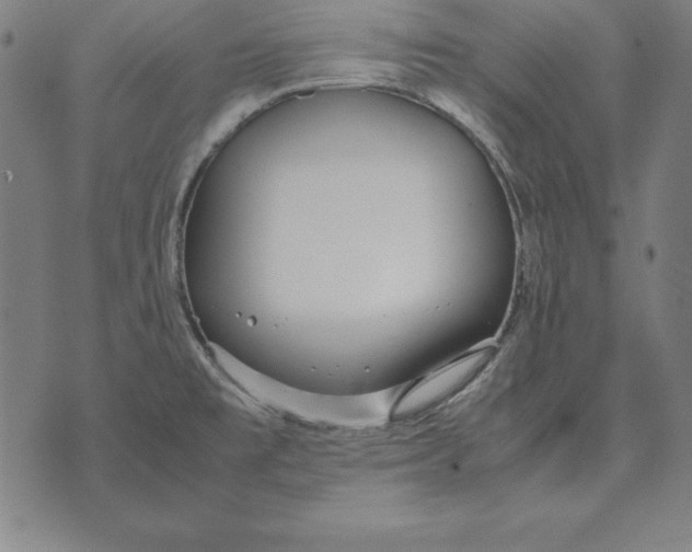 X0000071831477200607211749