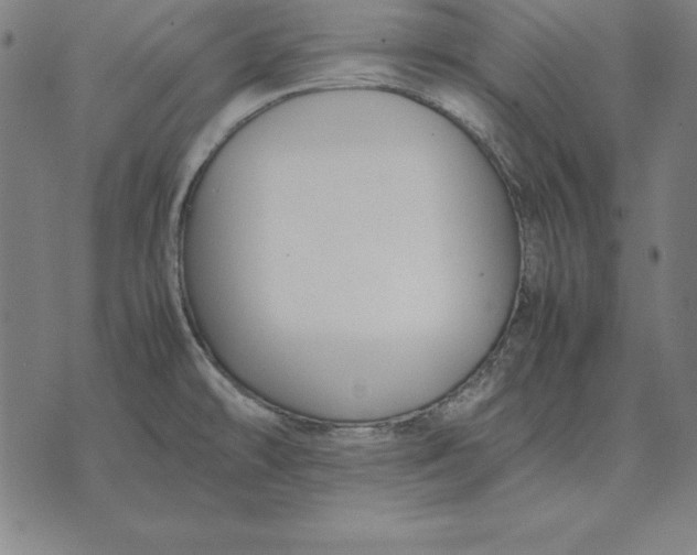 X0000071831478200607211749