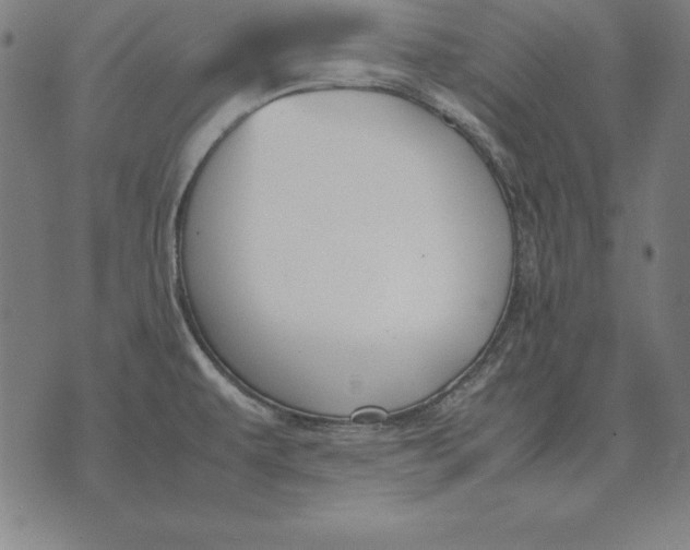 X0000071831479200607211749