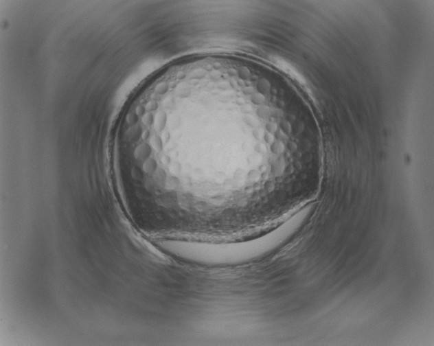 X0000071831480200607211749