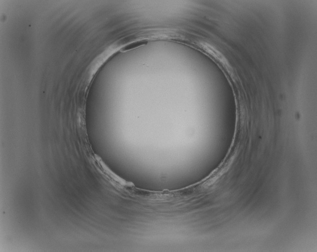 X0000071831481200607211749