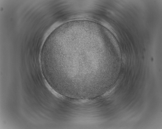 X0000071831482200607211749