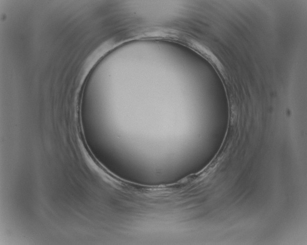 X0000071831483200607211749