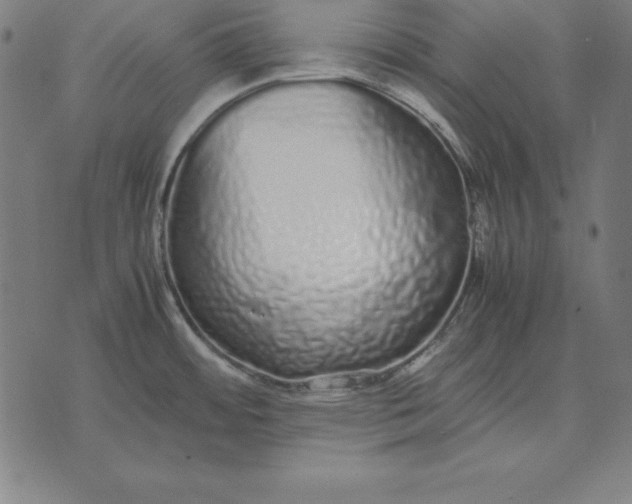 X0000071831484200607211749