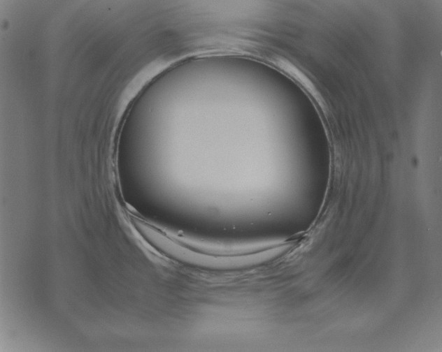 X0000071831485200607211749