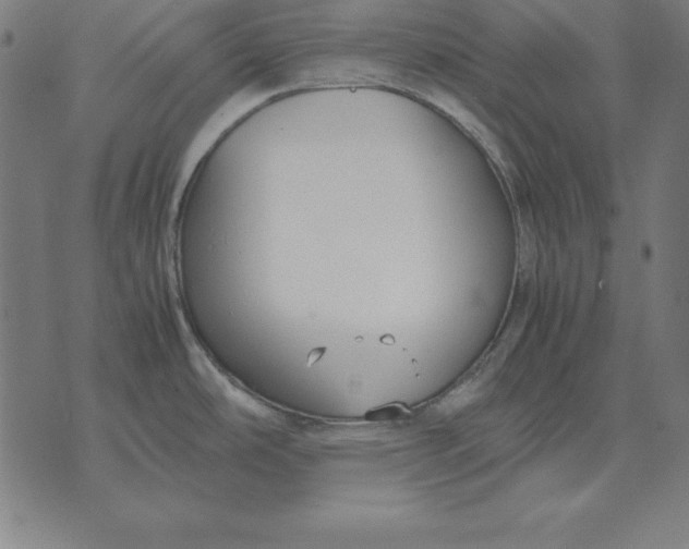 X0000071831486200607211749