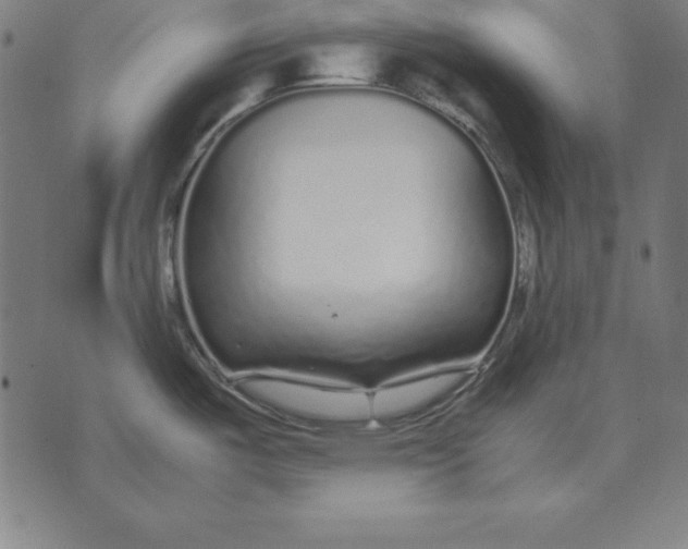 X0000071831487200607211749