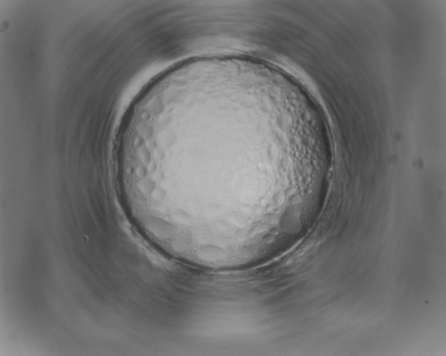 X0000071831488200607211749