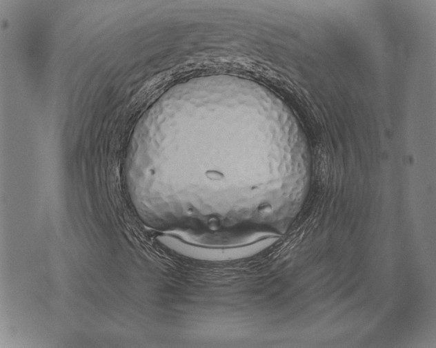 X0000071831489200607211748