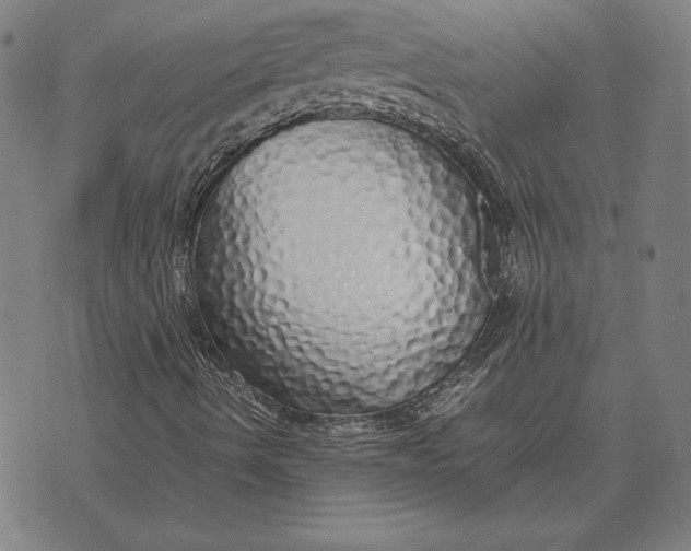 X0000071831490200607211748