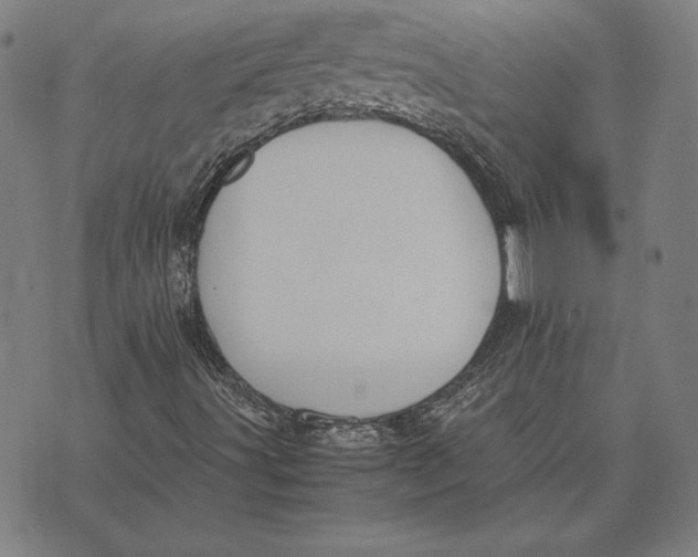 X0000071831491200607211748