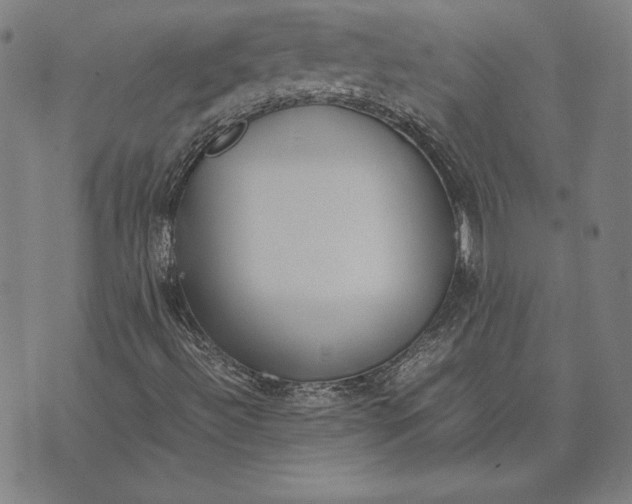 X0000071831492200607211748