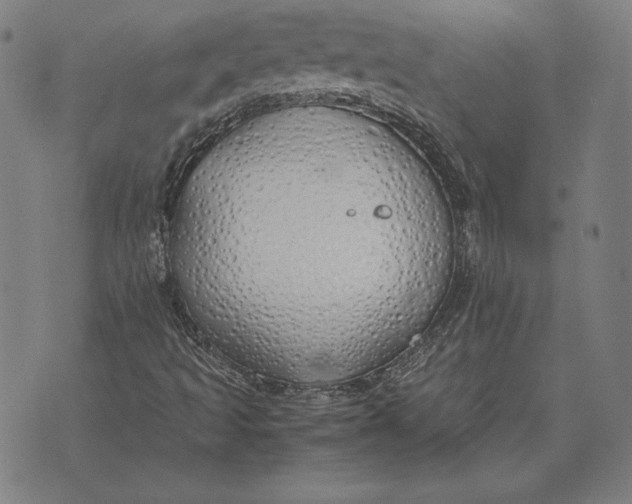 X0000071831493200607211748