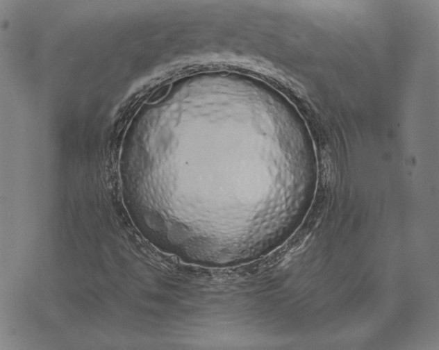 X0000071831494200607211748