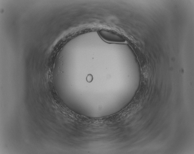 X0000071831495200607211748