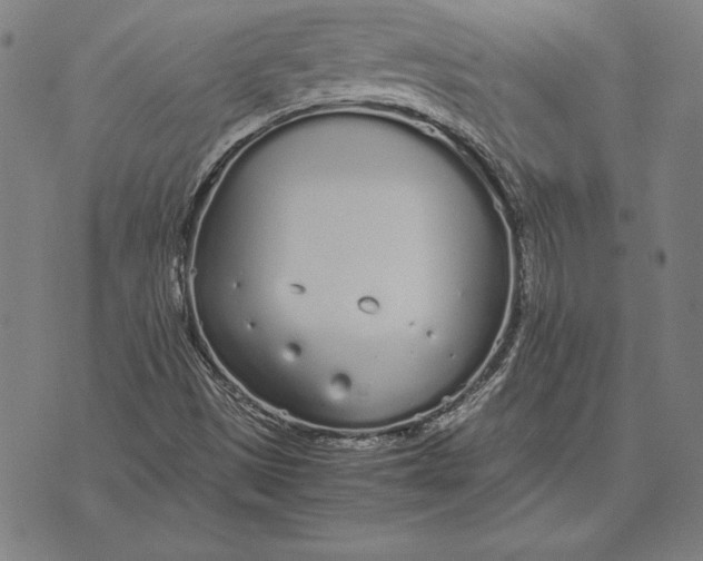 X0000071831497200607211748