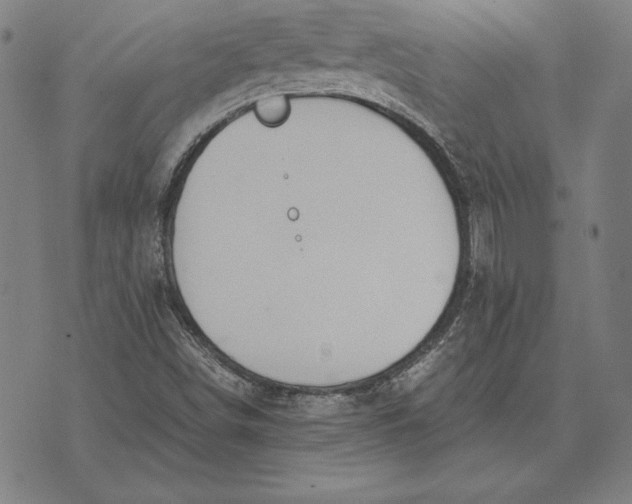 X0000071831498200607211748