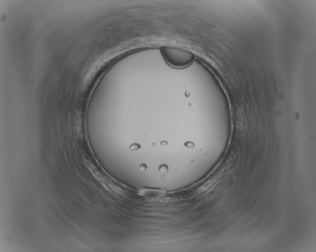 X0000071831499200607211748