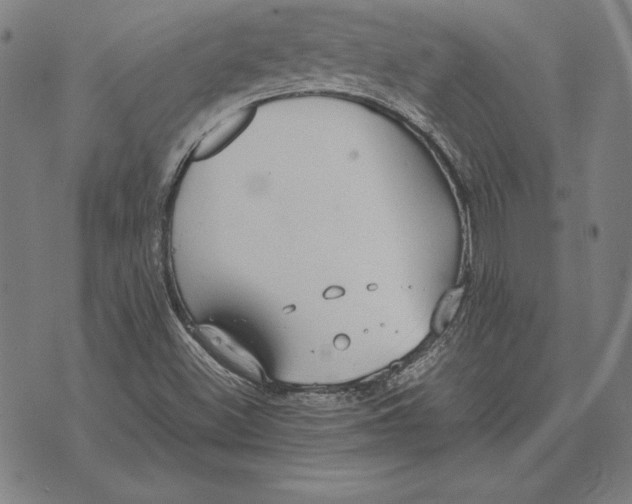 X0000071831500200607211748