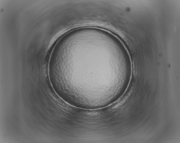 X0000071831501200607211748