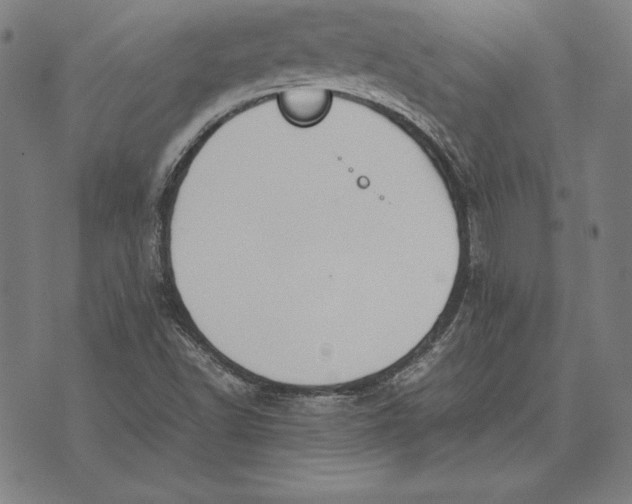 X0000071831502200607211748