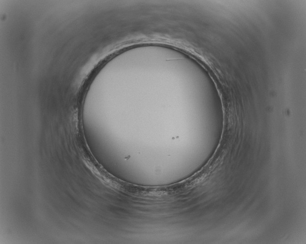 X0000071831503200607211749