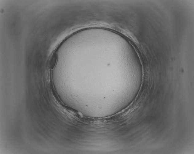 X0000071831504200607211749