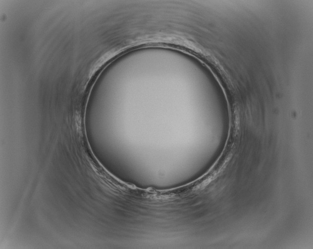 X0000071831505200607211749