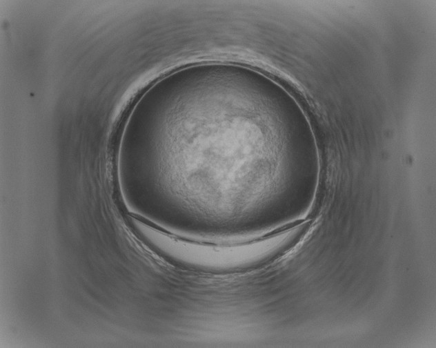 X0000071831506200607211749