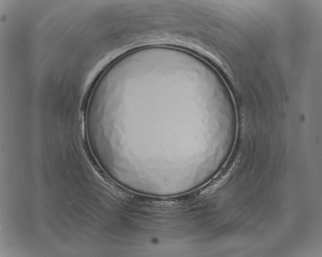 X0000071831509200607211749