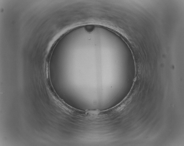 X0000071831510200607211749