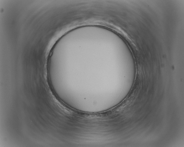 X0000071831512200607211749