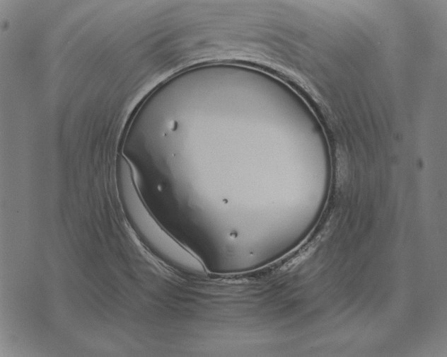 X0000071831513200607211749