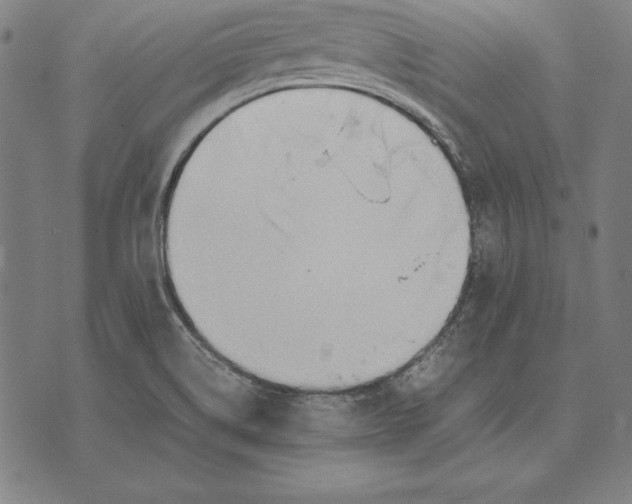 X0000071831514200607211749