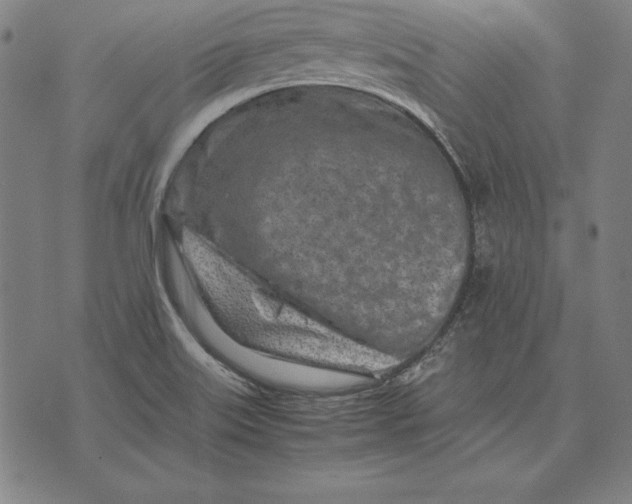 X0000071831515200607211749